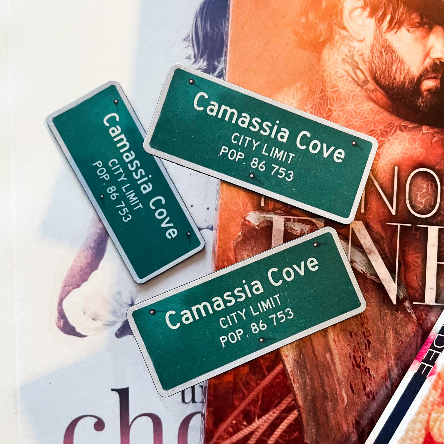 Camassia Cove Universe - City Magnet
