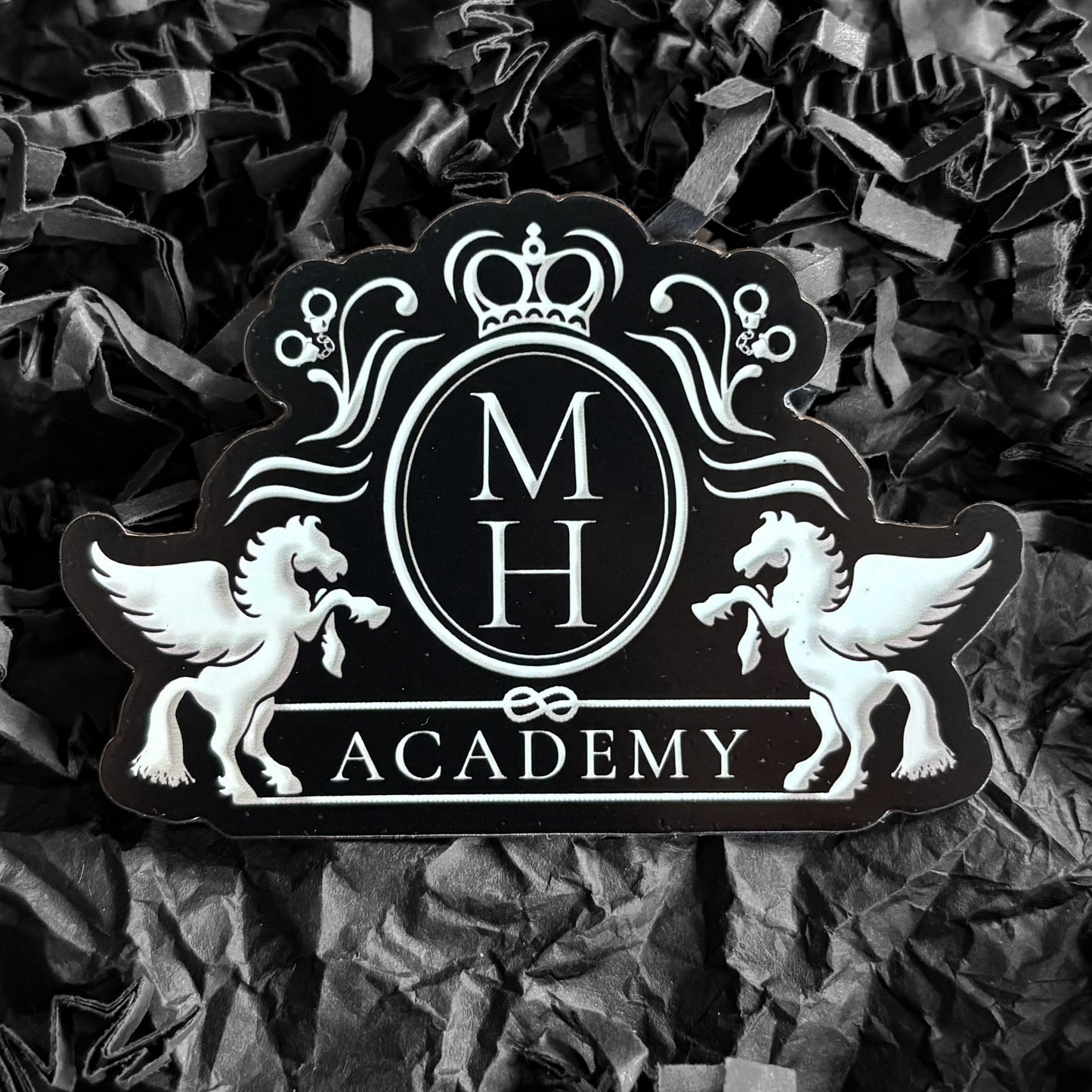 Magnet - Mclean House Academy