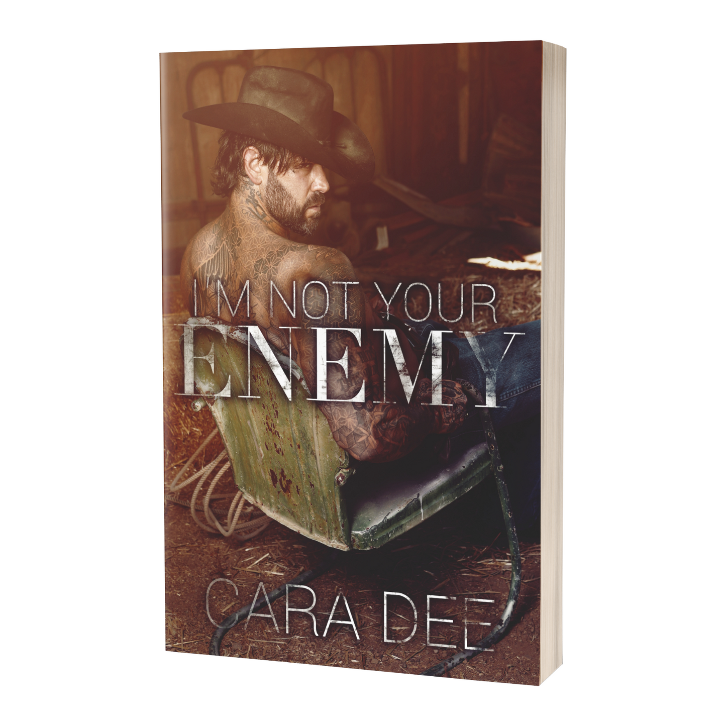 Paperback - Enemies, #2 - I'm Not Your Enemy
