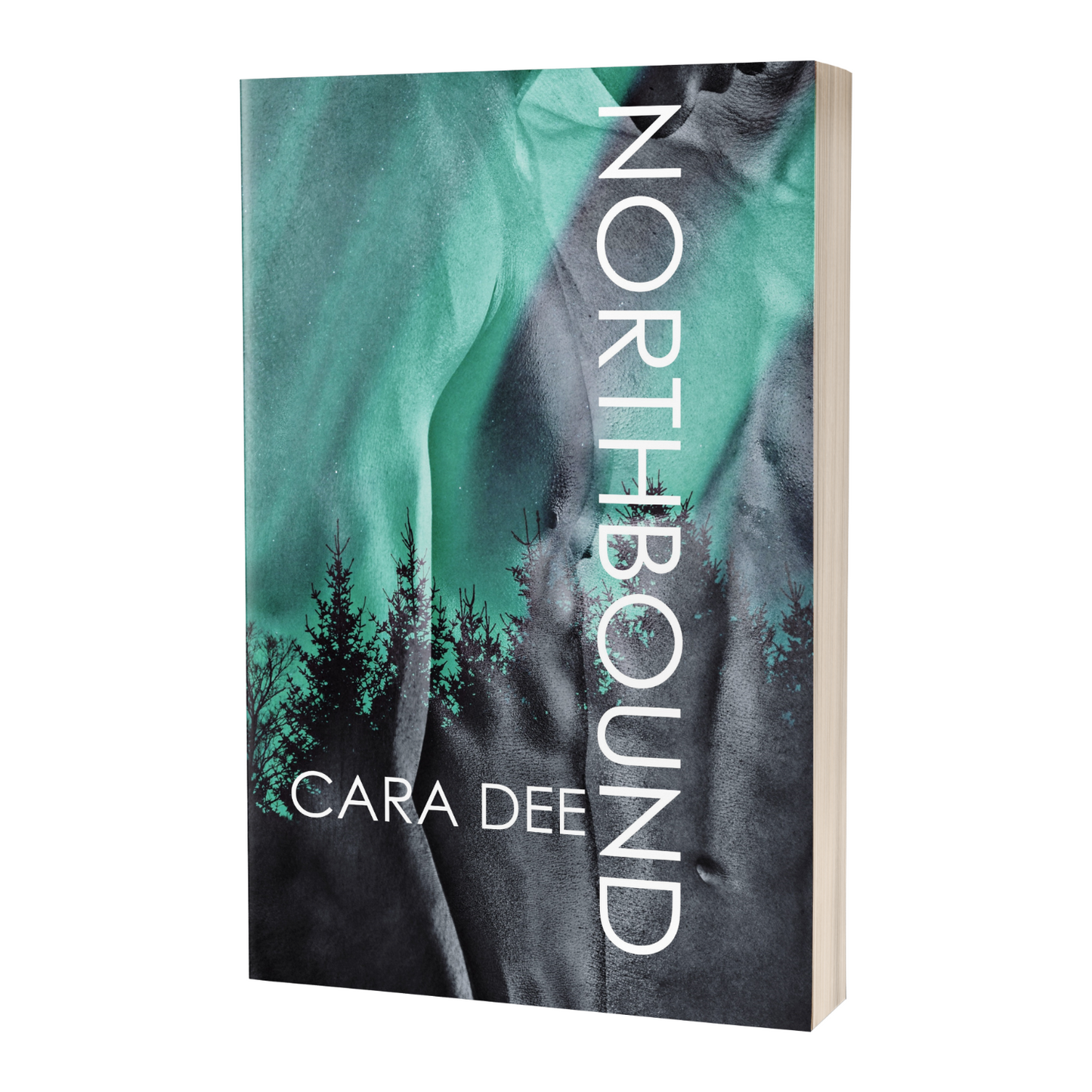 The North Novels #1, Northbound