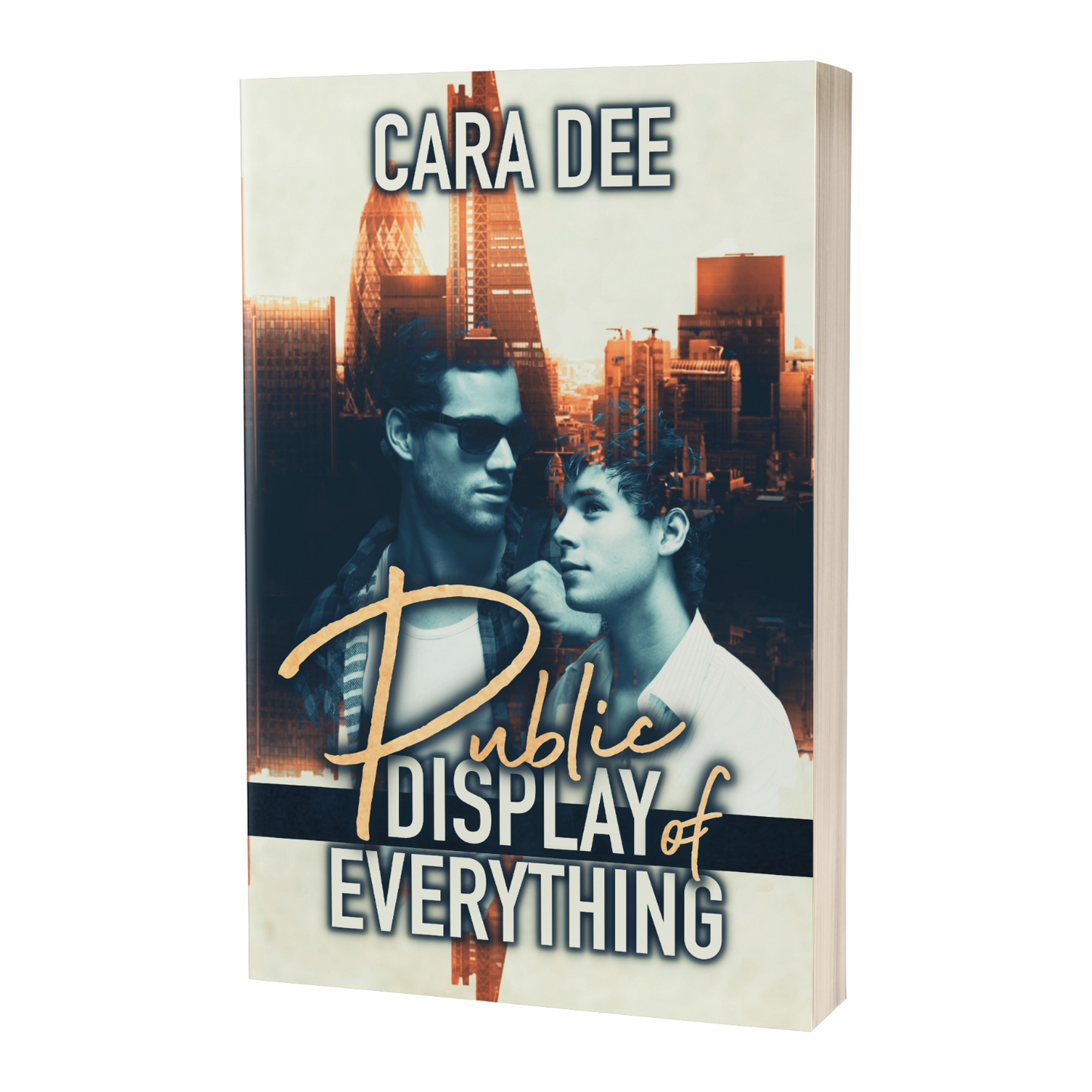 Paperback - Public Display of Everything