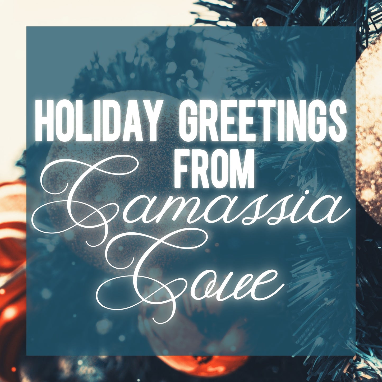 Holiday Greetings from Camassia Cove - The Advent Box 2026