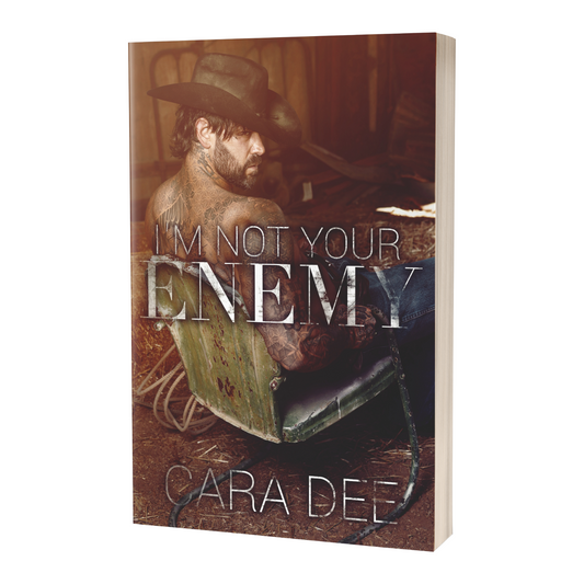 Enemies, #2 - I'm Not Your Enemy