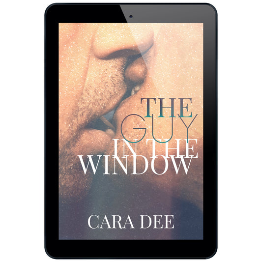 Ebook - The Guy in the Window